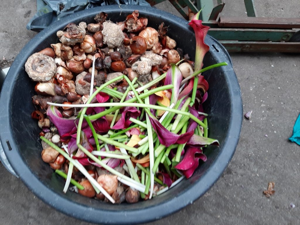 onderzoek-delphy-compost-veilig-gebruik-greenport.