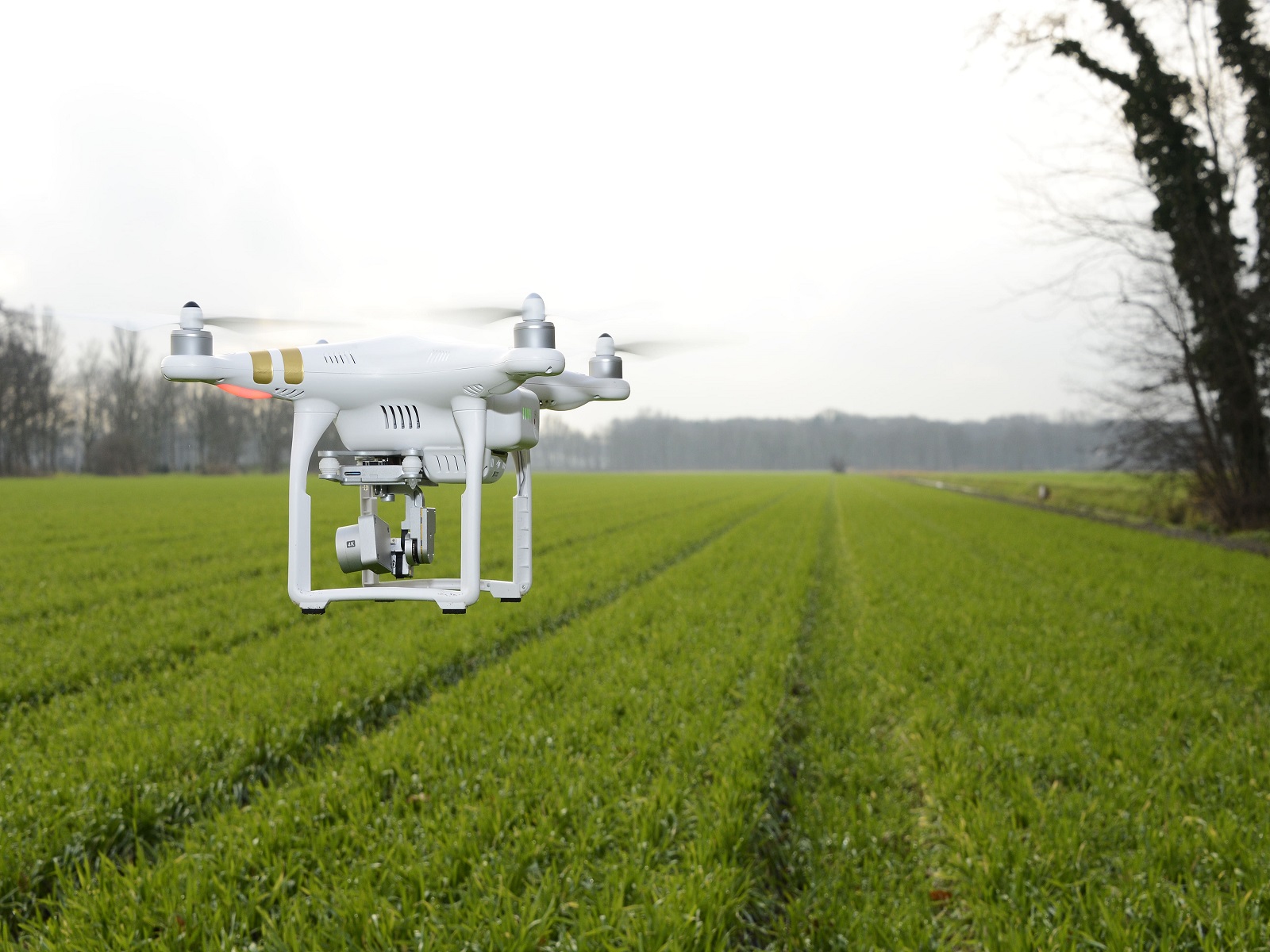 drones-sensoren-en-data-voor-duurzame-bollenteelt-greenportlive