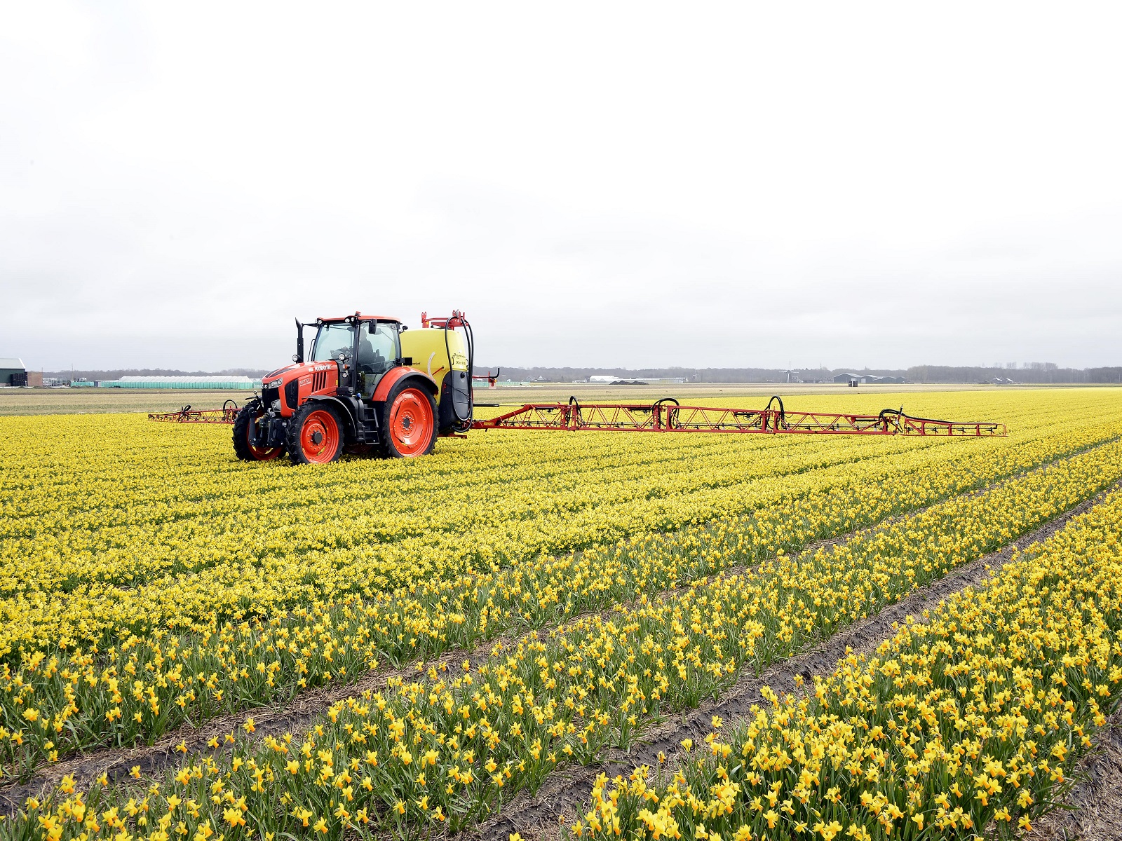 Spuiten-Narcis-gewasbeschermingsmiddelen-greenport