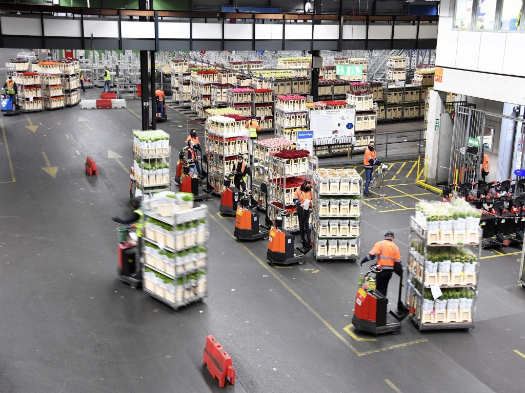 Bloembollenverkoop-bollen-bloemen-rusland-export-oekraine