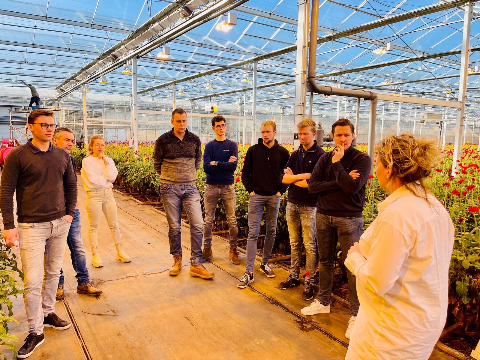 TOP-Ondernemerschap-Programma-bollenteelt-greenport