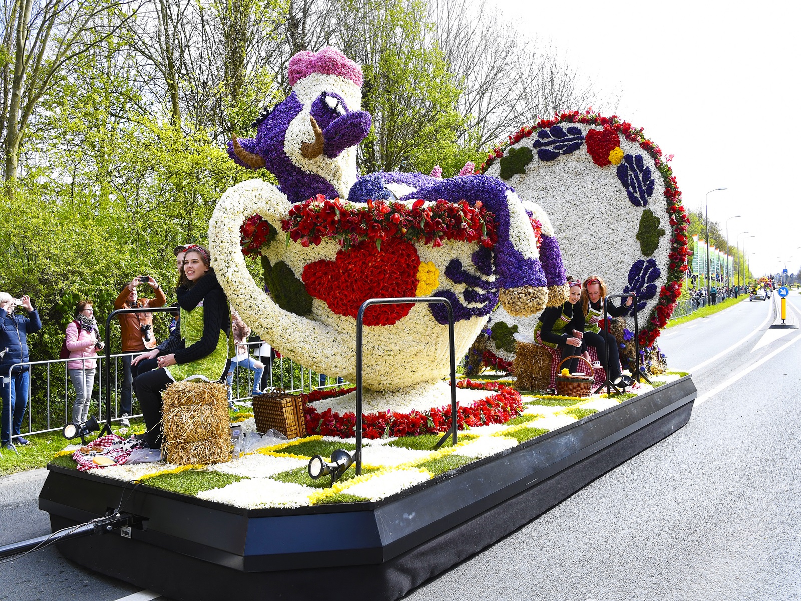 bloemencorso-bollenstreek-gaat-weer-rijden-greenport