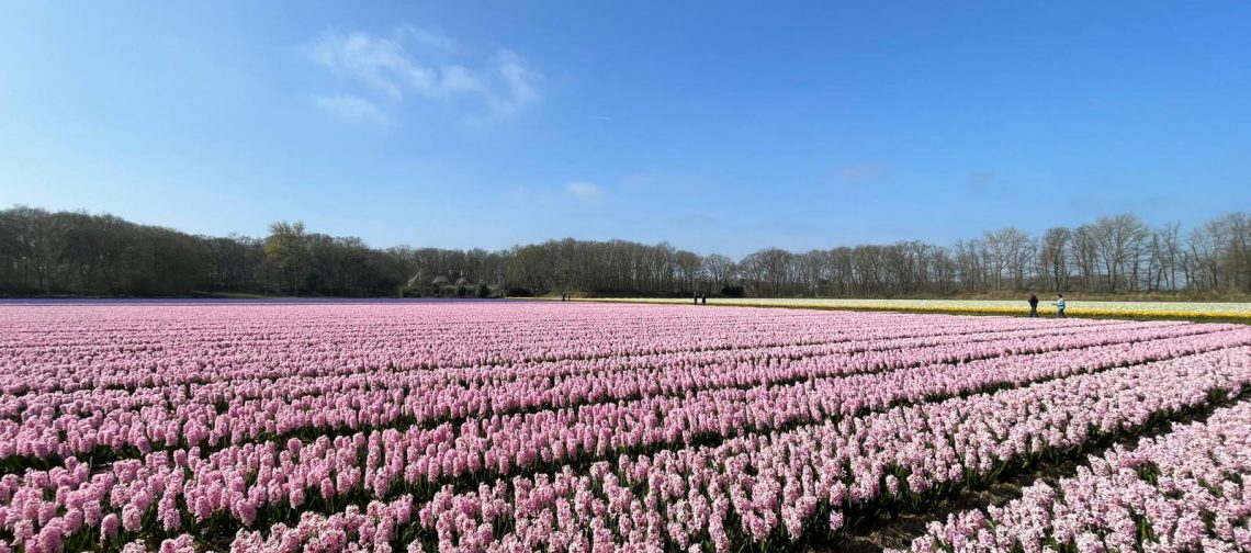 pps-bollencoaster-onderzoek-wur-greenport