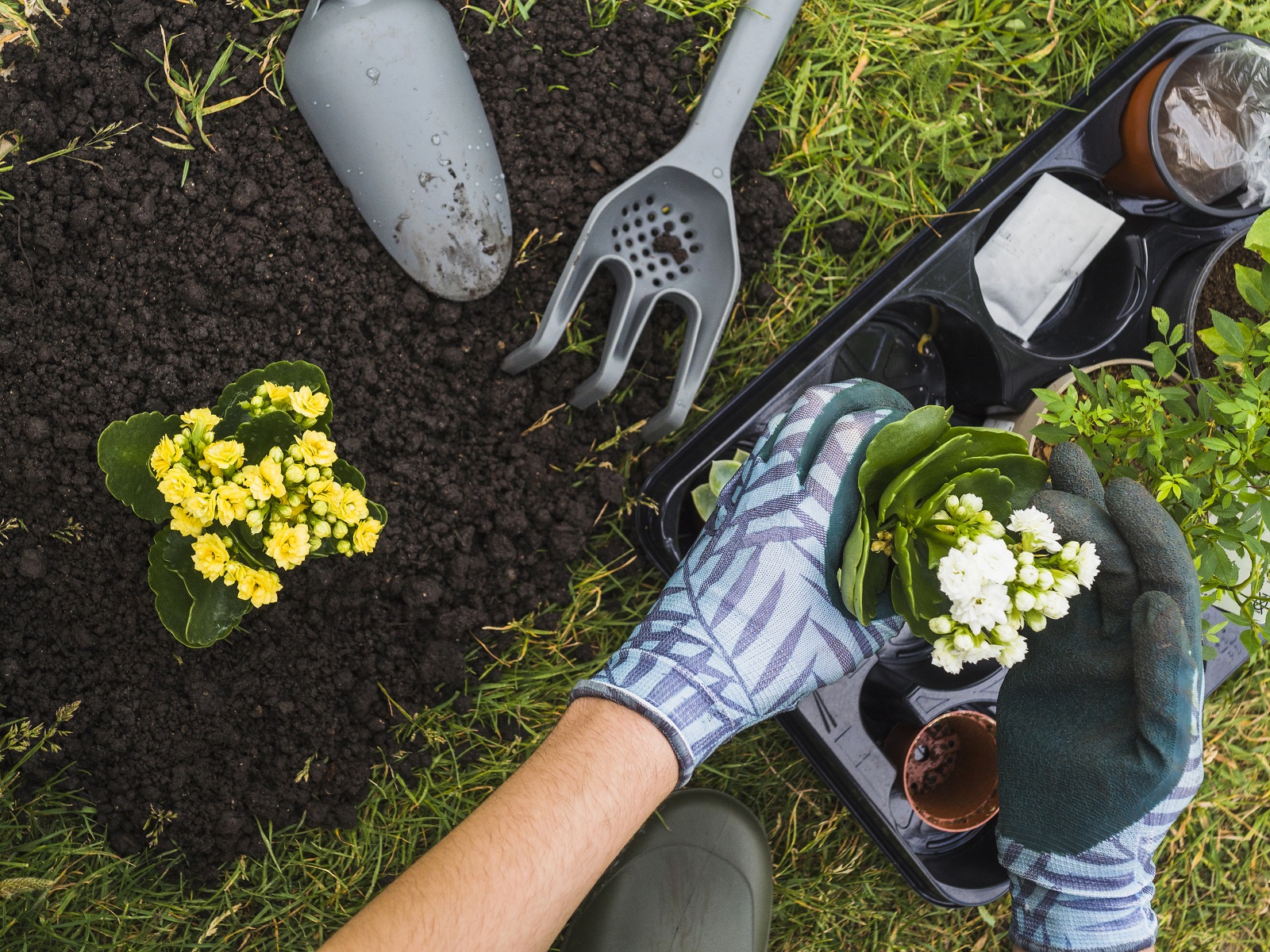 tuinambassadeurs-tuininrichting-duin-en-bollenstreek-greenport