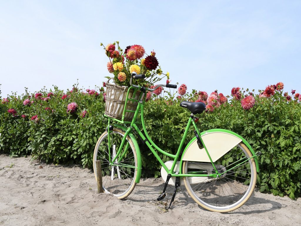 Greenity-Hortipoint-greenport