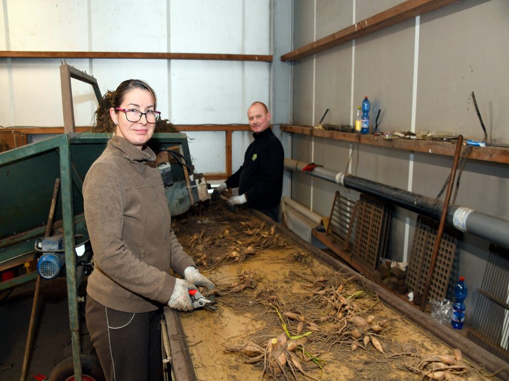 Internationale-medewerkers-aan-het-woord-leidsch-dagblad-greenport