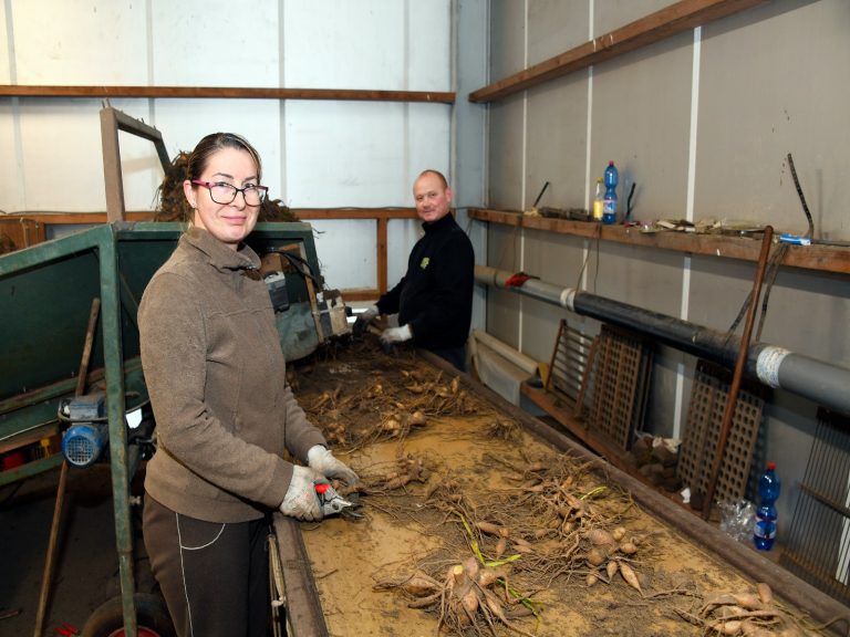 Internationale-medewerkers-aan-het-woord-leidsch-dagblad-greenport