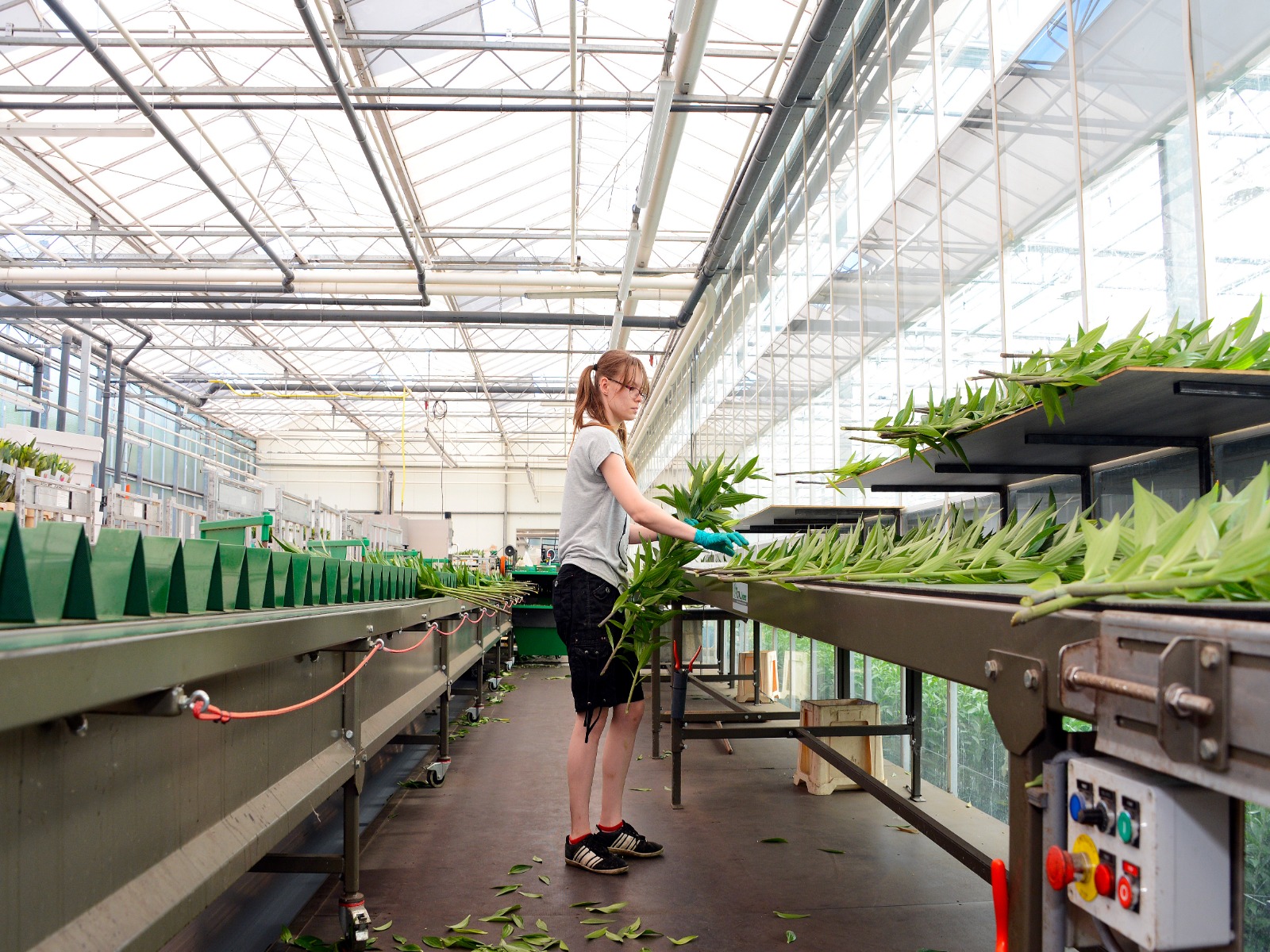 Internationale-medewerkers-greenport-duin-en-bollenstreek