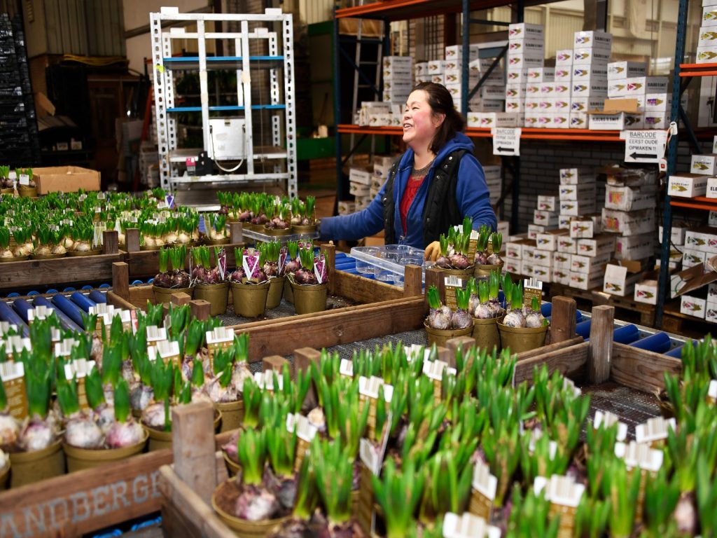 Internationale-medewerkers-huisvesting-greenport-duin-en-bollenstreek