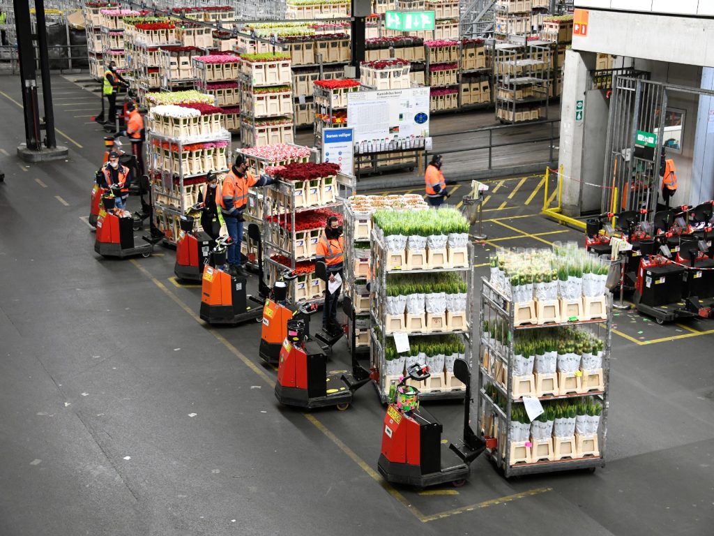 kantoorpersoneel-royal-flora-holland-ingezet-in-logistiek