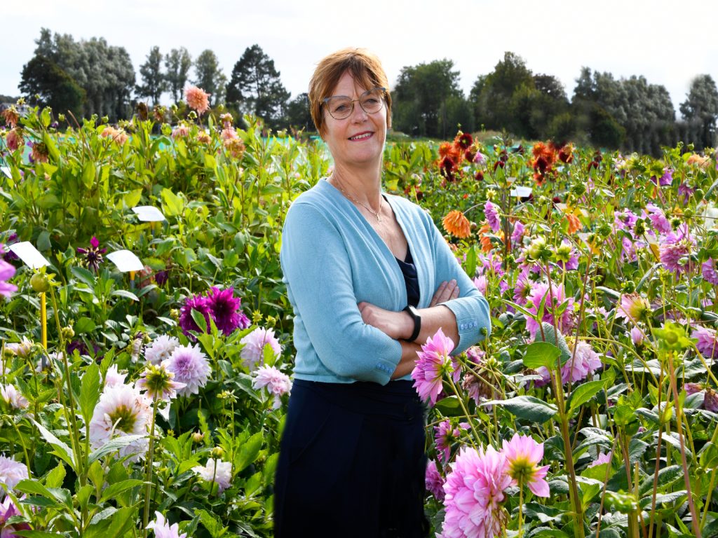 Projectleider-Annemieke-de-Man-greenport-duin-en-bollenstreek