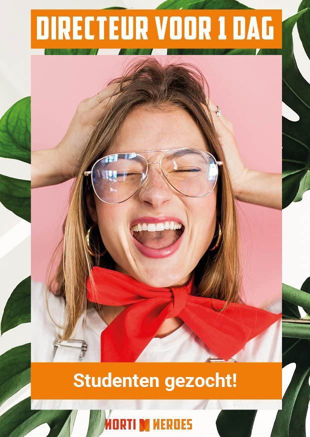 Flyer-D1D-2019-student-gezocht