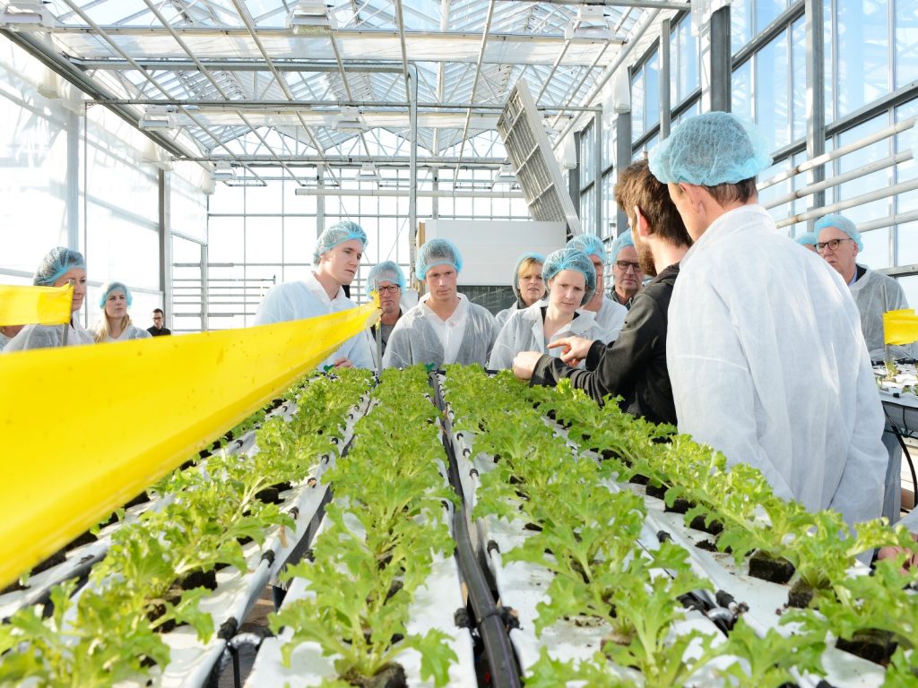 intotuinbouw-onboarding-cursus-tuinbouwsector-greenport-world-horti-center