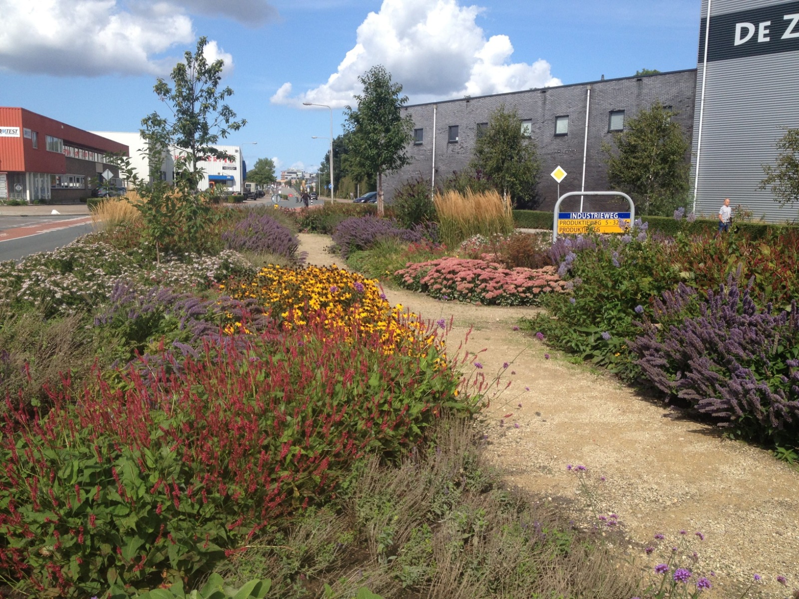 bijenlandschap-gratis-advies-biodiversiteit-greenport-duin-en-bollenstreek