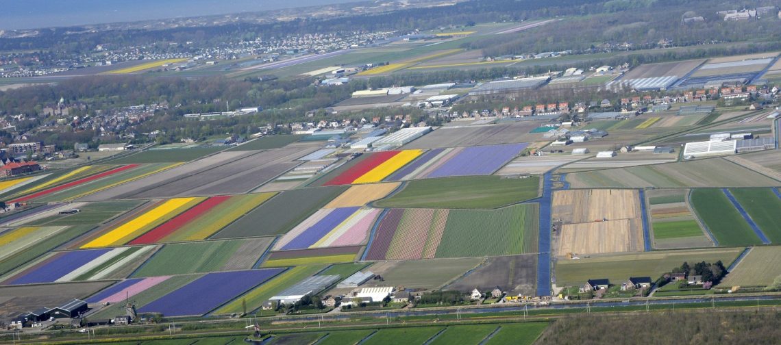 omgeving-duin-en-bollenstreek-omgevingsvisie-provincie-zuid-holland