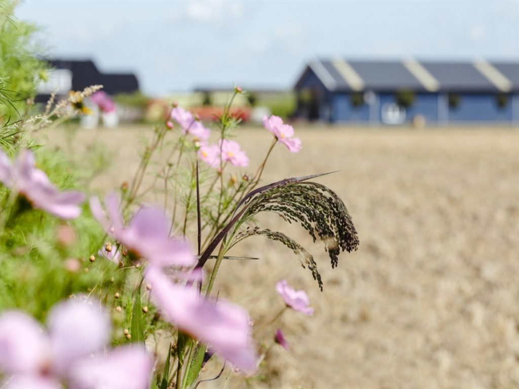 landbouwloket-nationaal-programma-landelijk-gebied-greenport