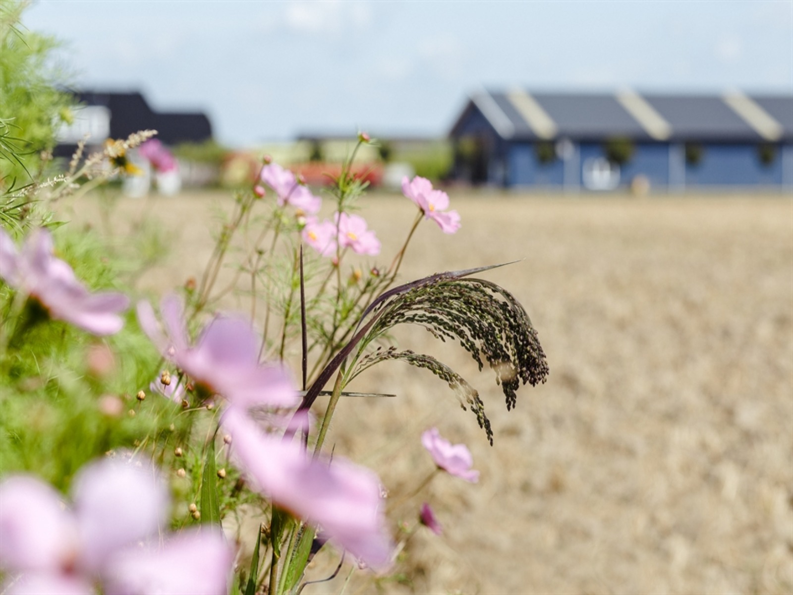 landbouwloket-nationaal-programma-landelijk-gebied-greenport