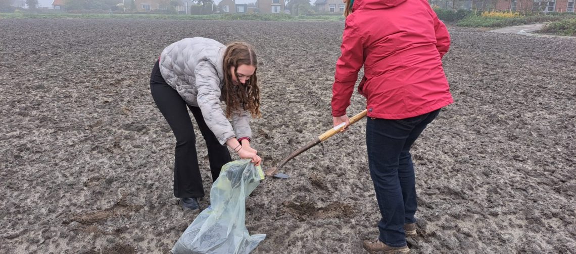 Bodemmonsters-proefveld-okt-2023-bollenjongens-has-greenport