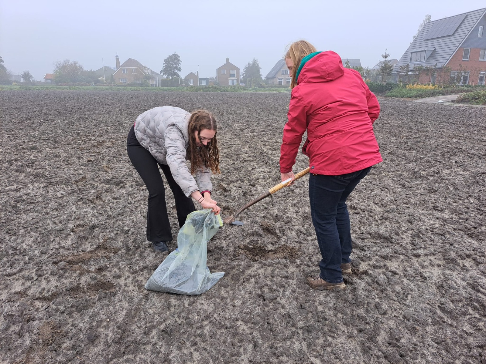 Bodemmonsters-proefveld-okt-2023-bollenjongens-has-greenport