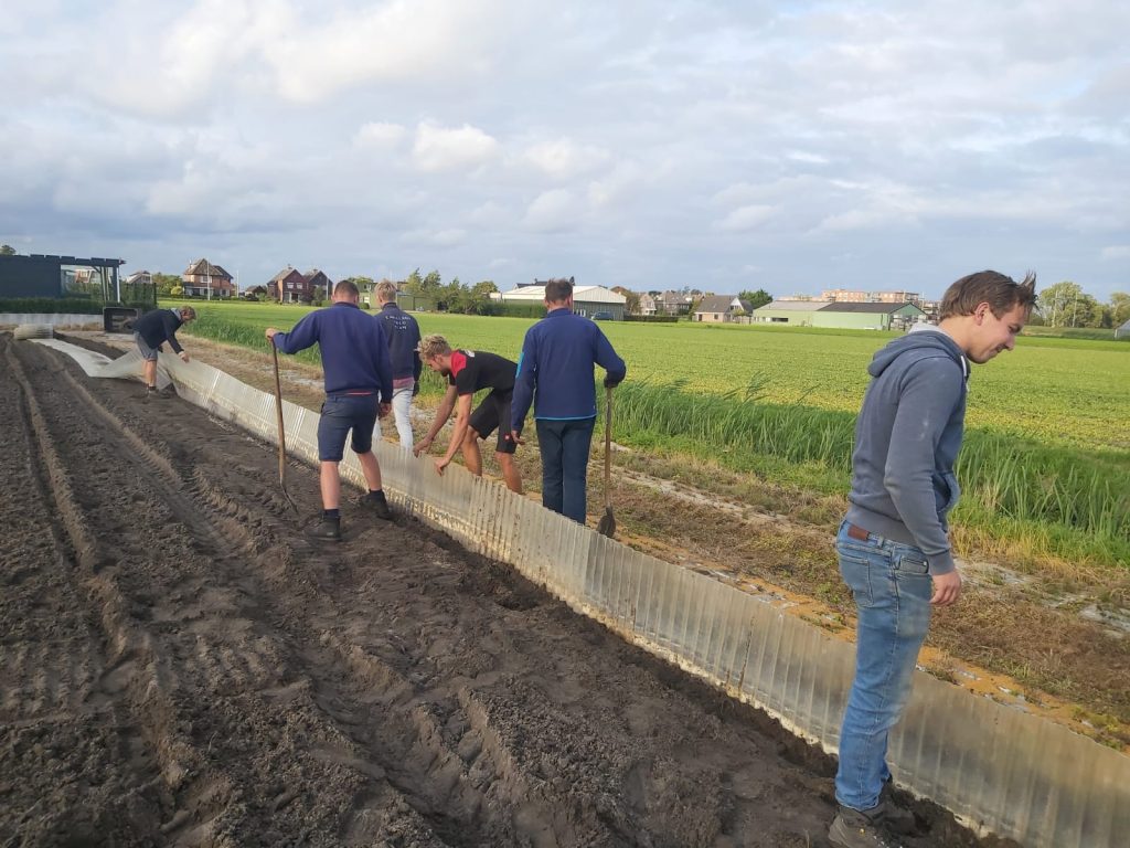 demoveld-bollenjongens-has-wur-greenport