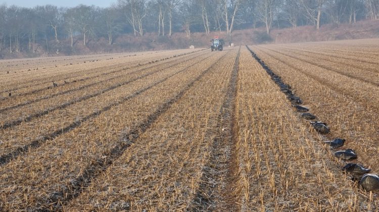 winter-strodekken-januari-nieuwsbrief-greenport