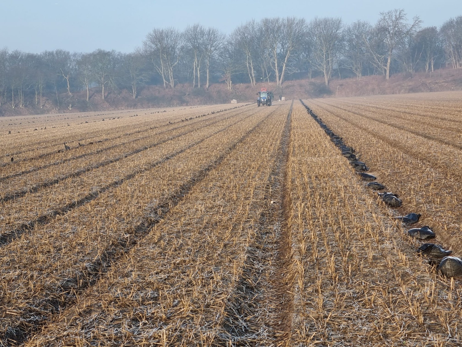 winter-strodekken-januari-nieuwsbrief-greenport