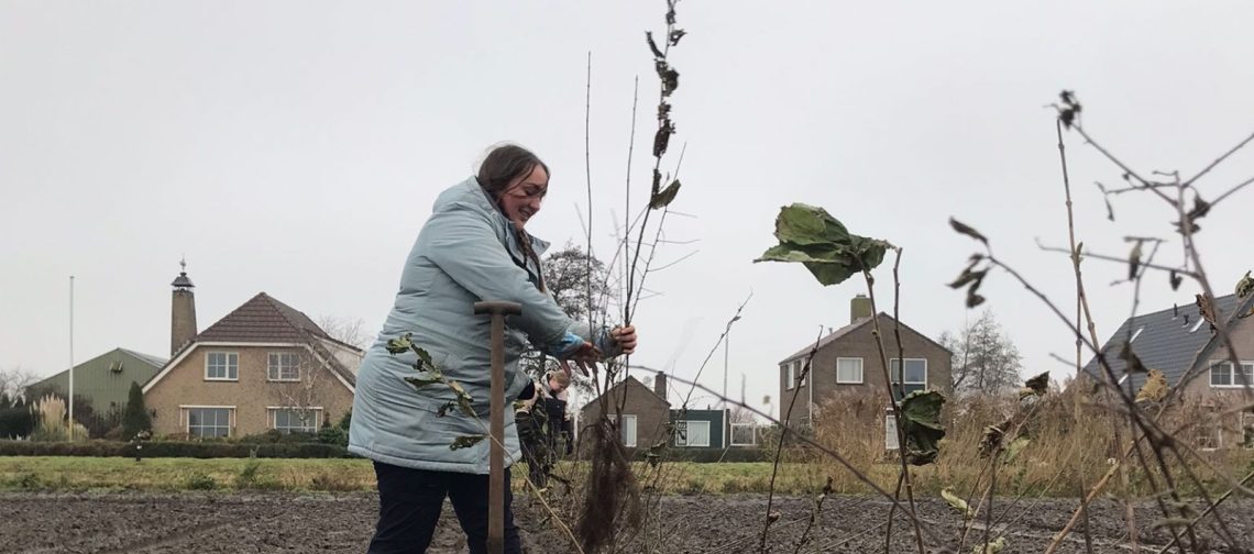 Heg-planten-demoveld-5-12-2023-greenport-has-green-academy