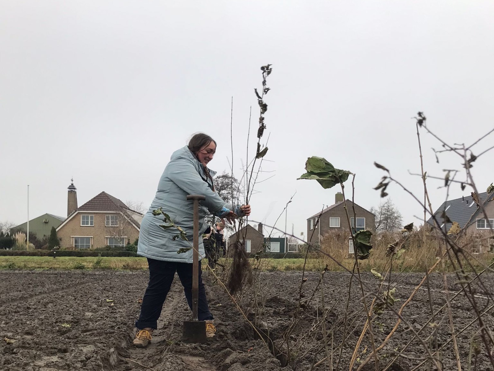 Heg-planten-demoveld-5-12-2023-greenport-has-green-academy