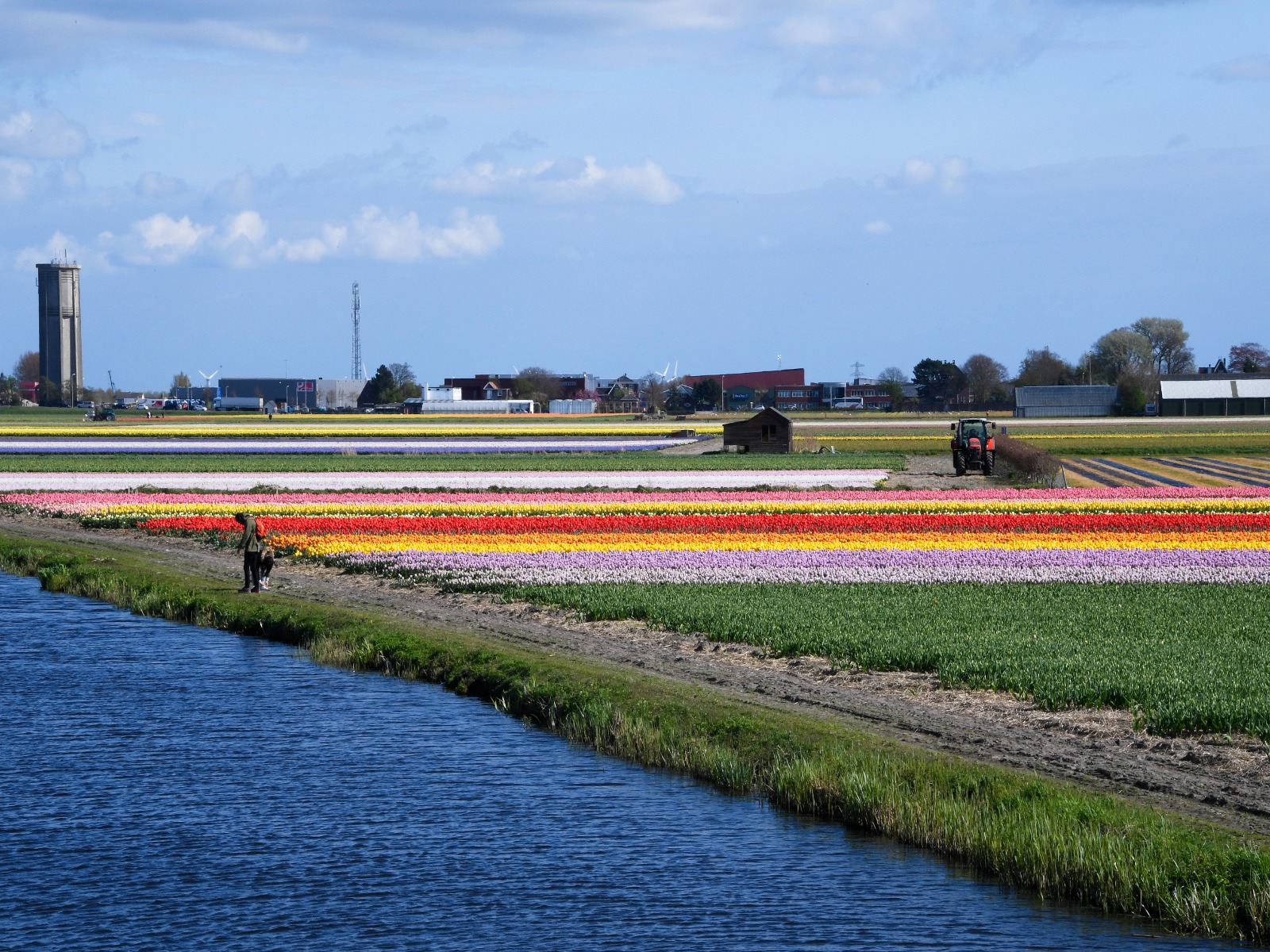 herkomst-dinoterb-niet-uit-bollen-greenport