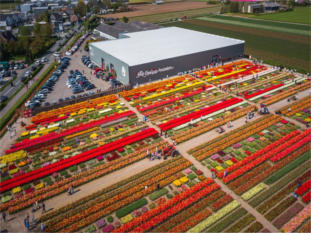 derde-editie-future-bollenstreek-bij-tulip-experiencd-greenport