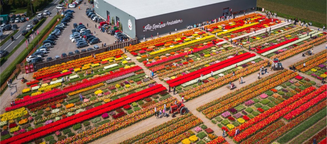 derde-editie-future-bollenstreek-bij-tulip-experiencd-greenport