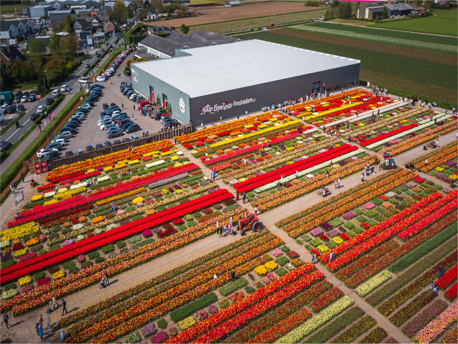 derde-editie-future-bollenstreek-bij-tulip-experiencd-greenport
