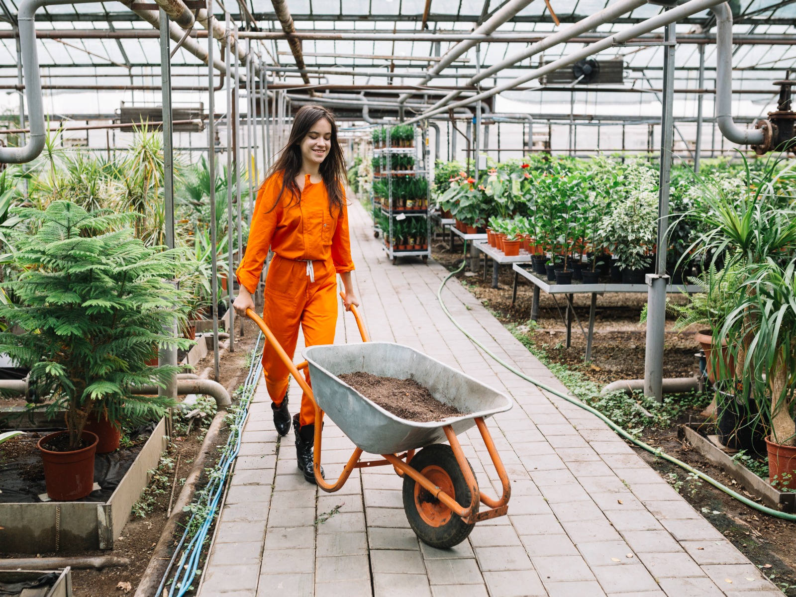 orientatie-werken-in-de-teeltsector-yuverta-greenport