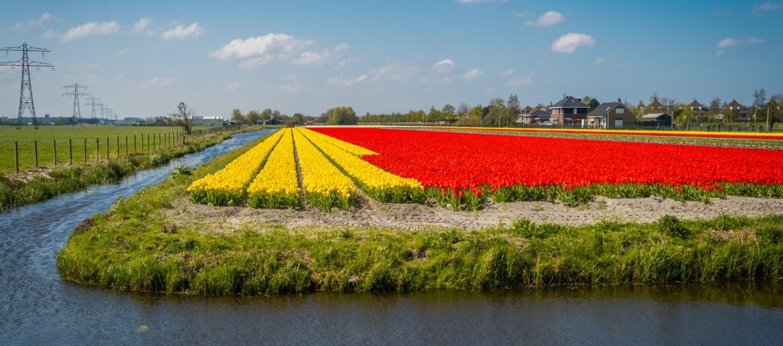 foto-water-zomermonitor-zoetwater-rijnland-greenport