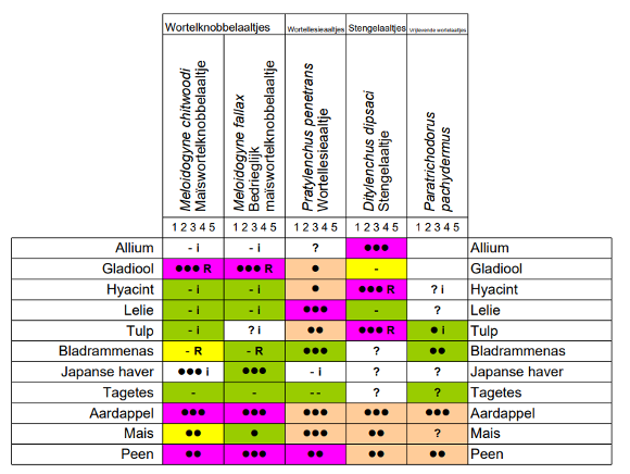 Figuur 1-Best4Soil - PPS Bollen, bodem en aaltjes
