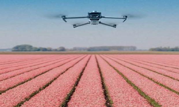 Remote-Sensing-AI-Unmanned-Valley-Drones-satellietdata-botrytis