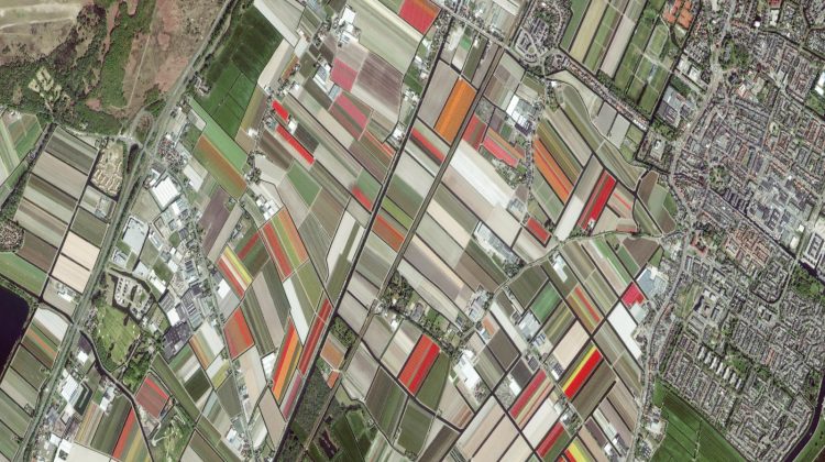 Bollenstreek-drone-satelliet-greenport-duin-en-bollenstreek