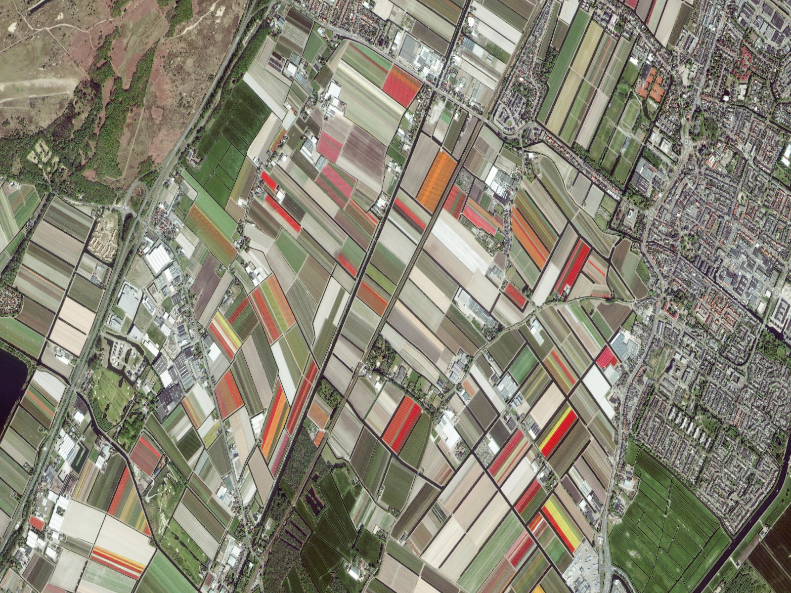 Bollenstreek-drone-satelliet-greenport-duin-en-bollenstreek