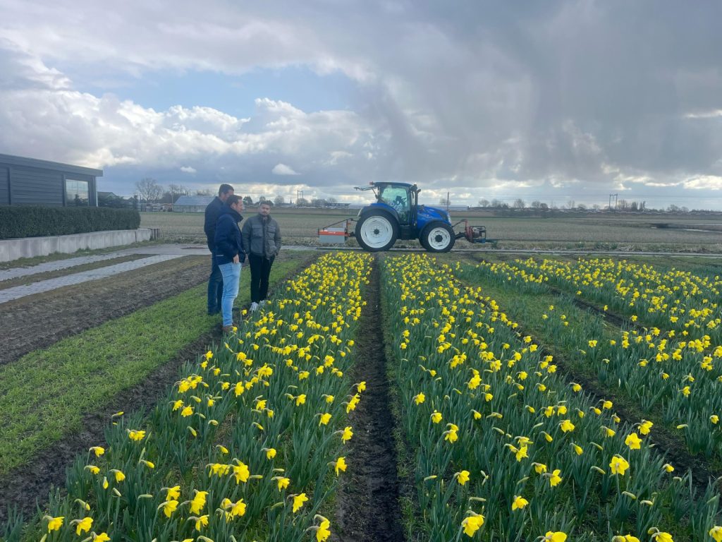 Demoveld-bollenstreek-narcissen-bollenjongens-greenport-has-green-academy