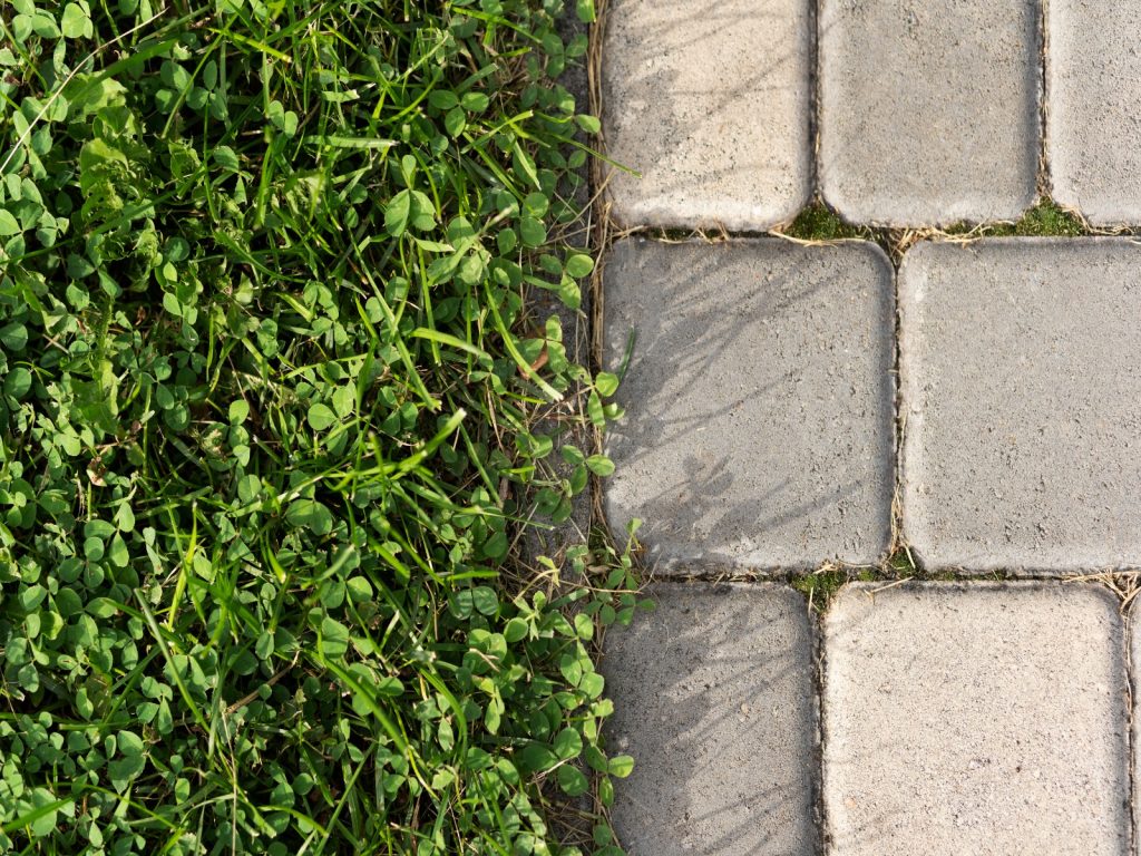tegels-gratis-ruilen-voor-plantjes-greenport