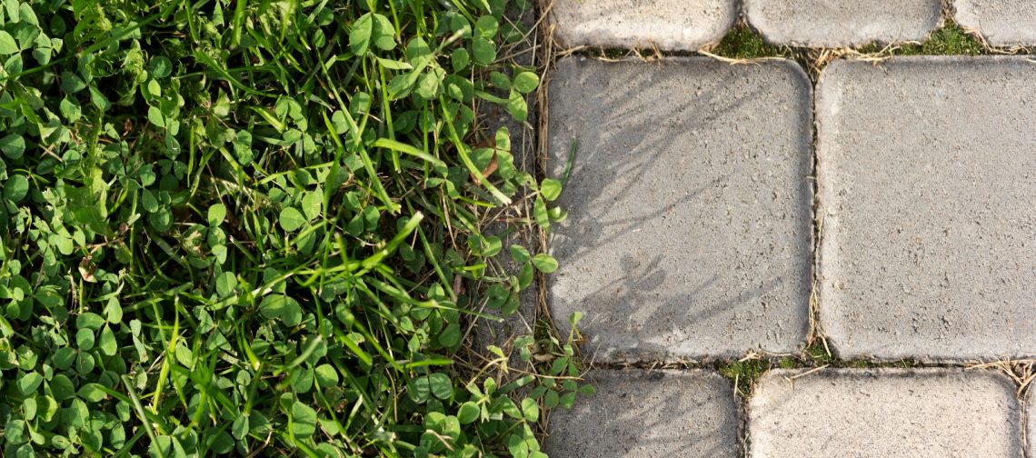 tegels-gratis-ruilen-voor-plantjes-greenport
