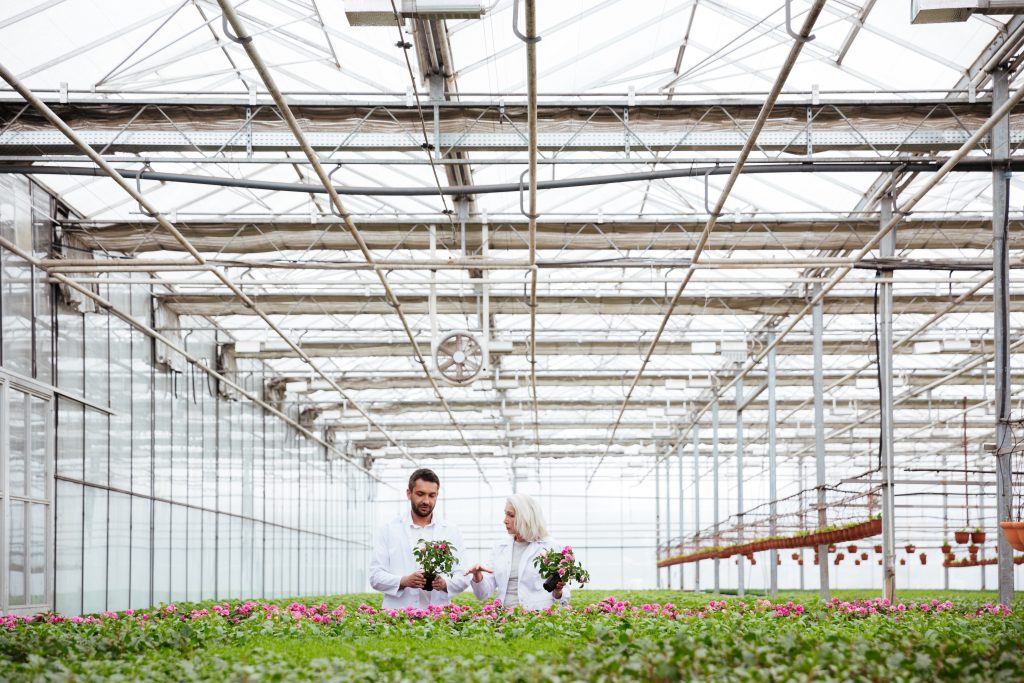 Inholland-cursus-management-in-de-glastuinbouw