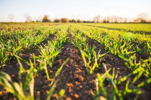 Nationaal Tuinbouwcongres 2026