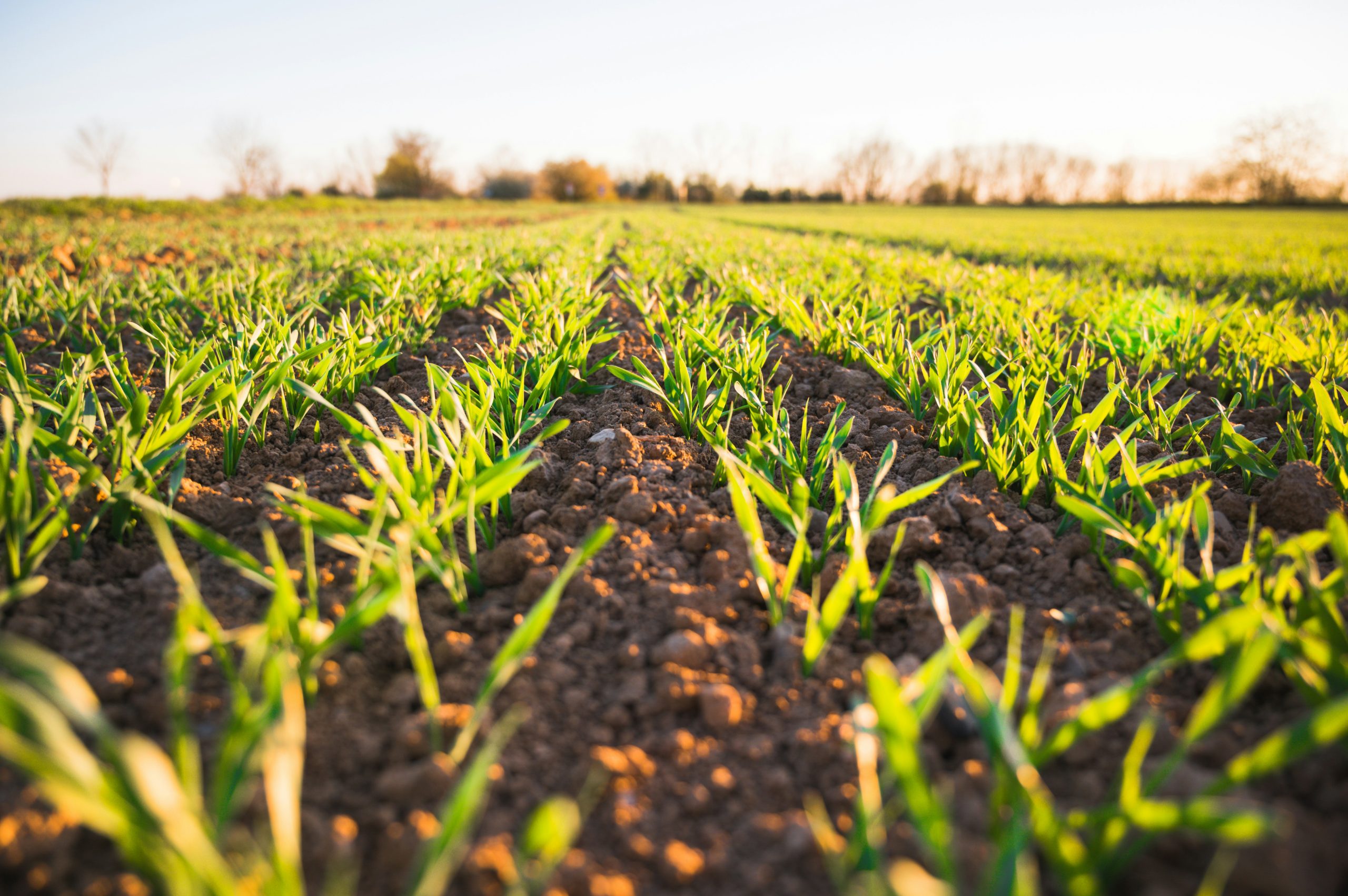 Nationaal Tuinbouwcongres 2026