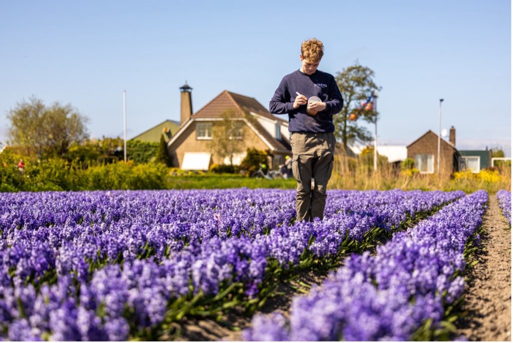 demoveld-inloopavond-greenport