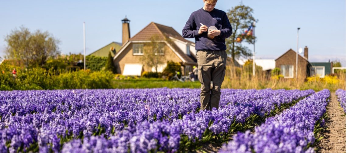 demoveld-inloopavond-greenport