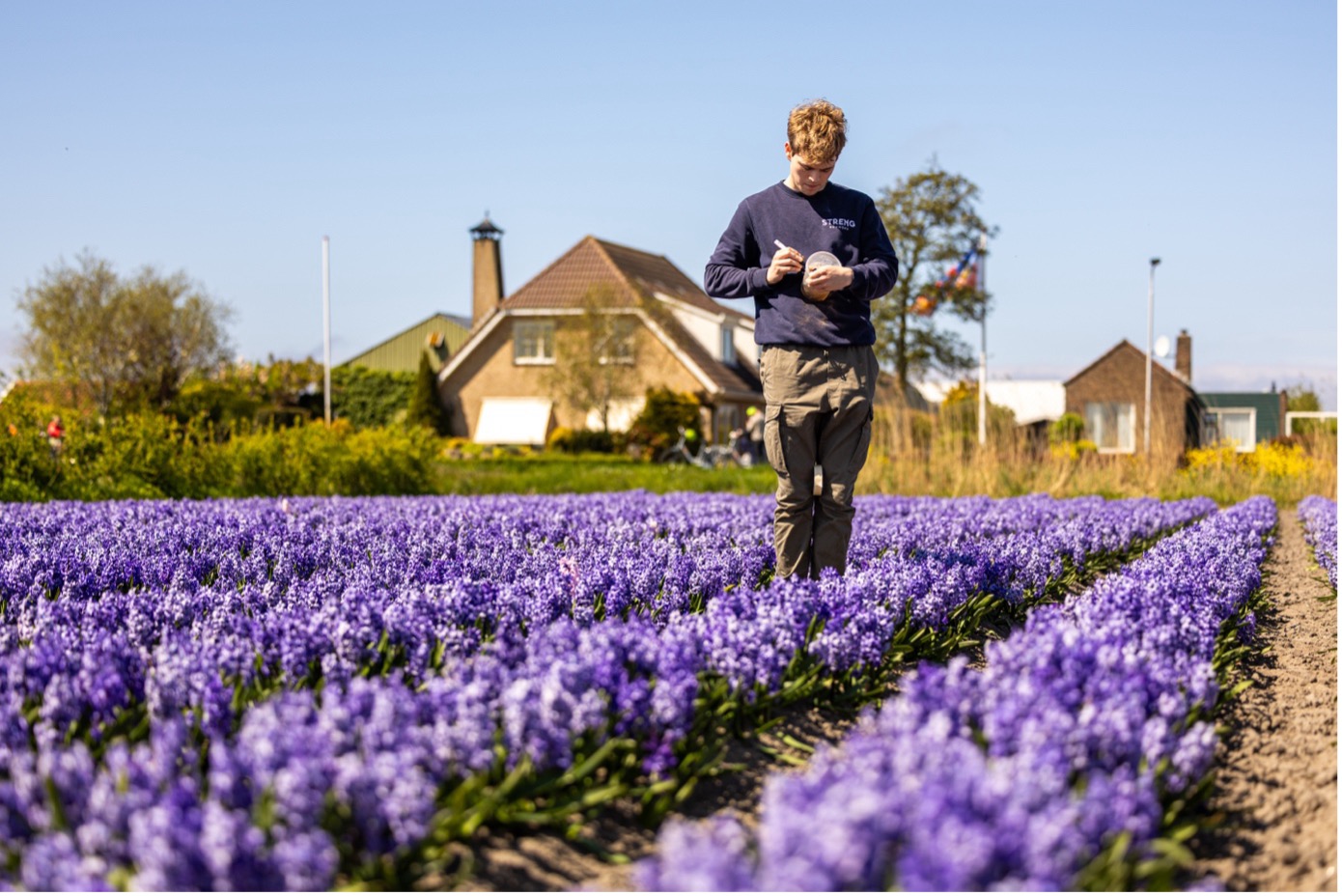 demoveld-inloopavond-greenport