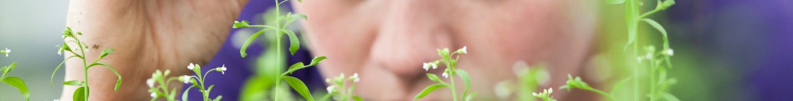 Flower-science-greenport-duin-en-bollenstreek