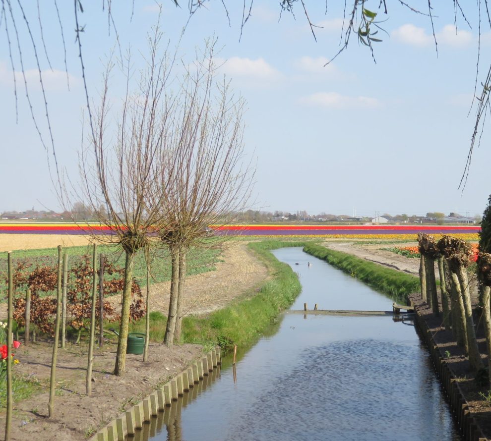 Landschap