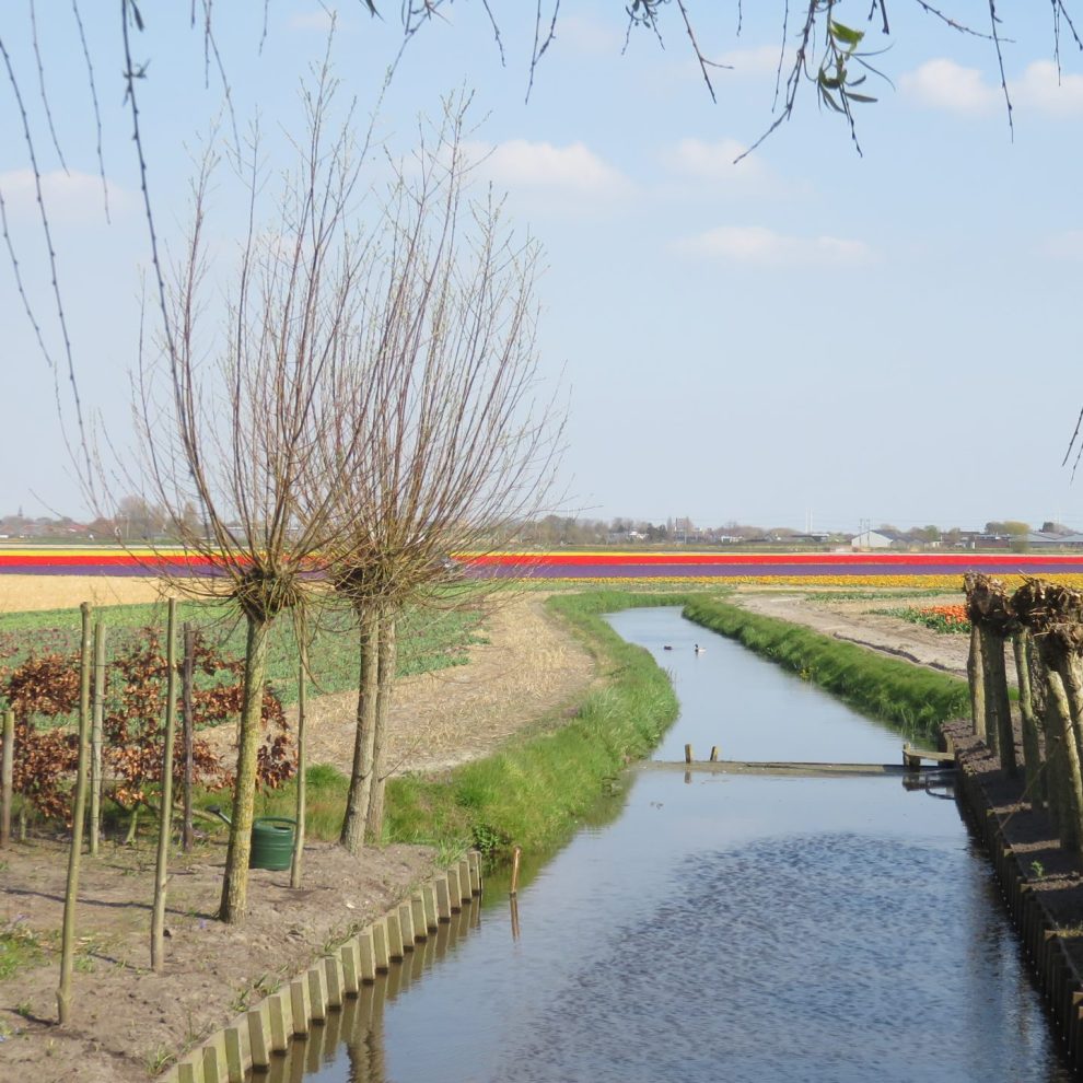 Landschap